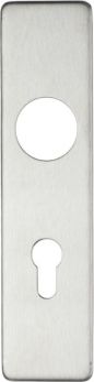 Cover plate for 19 mm RTD Lever on Short Backplate - Din Euro Profile/72mm Centres - 45mm x 180mm