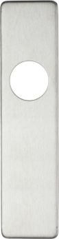 Cover plate for 19 mm RTD Lever on Short Backplate - Latch - 45mm x 180mm